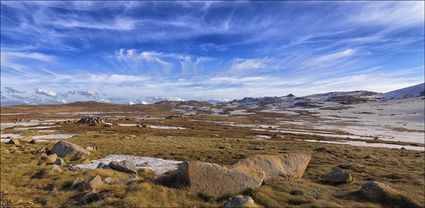 Near Seamans Hut - Kosciuszko NP - NSW T (PBH4 00 10638)